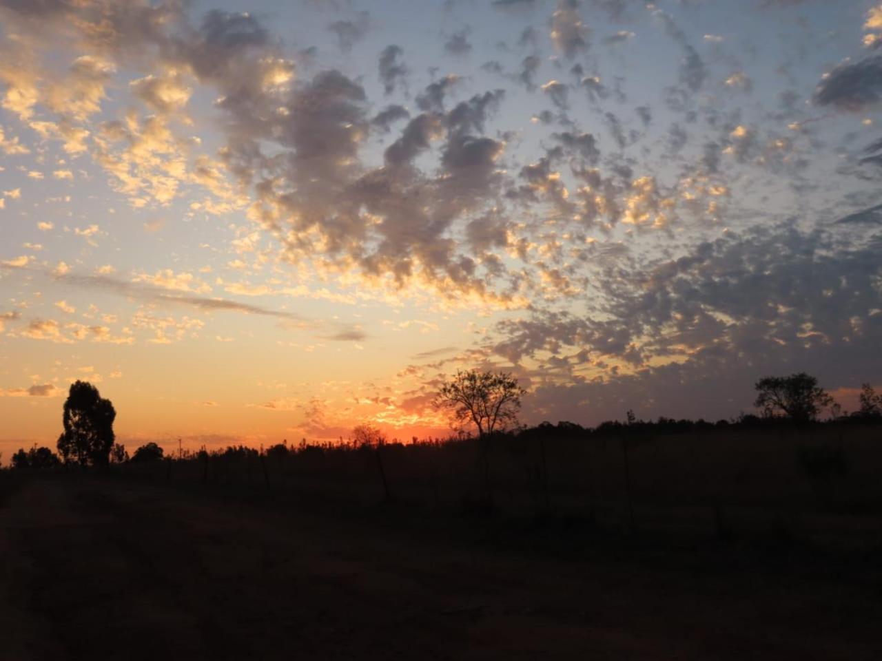 Sanctuary Life Guest Farm Hotell Magaliesburg Exteriör bild