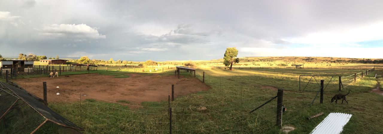 Sanctuary Life Guest Farm Hotell Magaliesburg Exteriör bild