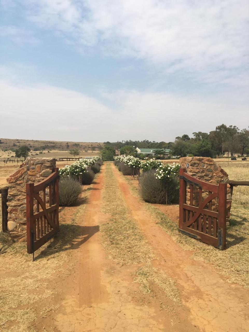 Sanctuary Life Guest Farm Hotell Magaliesburg Exteriör bild